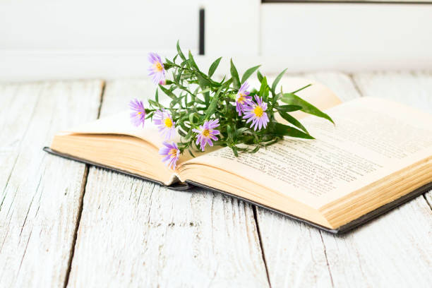 istock Blooming Virgin asters flowers on open book on window. Autumn summer background 872746116