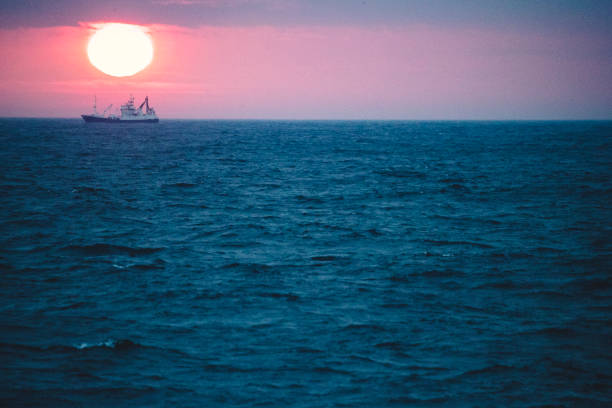 Cargo ship on the sea