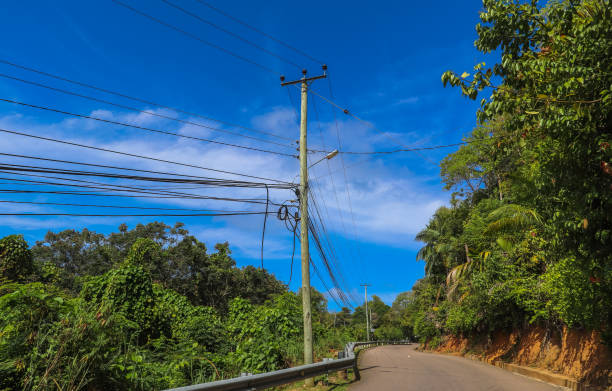 istock Seychelles islands nature. Africa 872749660