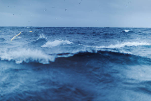 istock Out in a rough sea 872749812