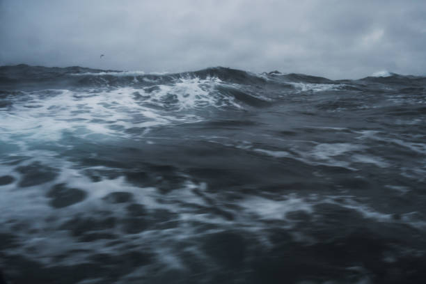 istock Out in a rough sea 872749872