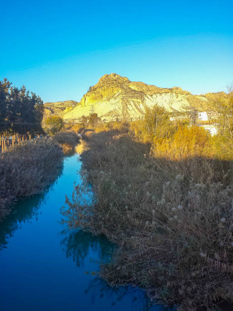 istock Small canal irrigation in the field 872750138