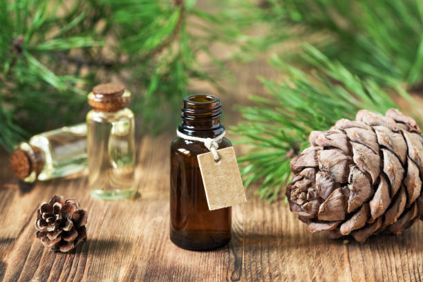 istock Essential oil of pine and spruce 872750146