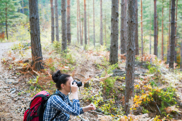 istock Taking photos in the forest 872758818