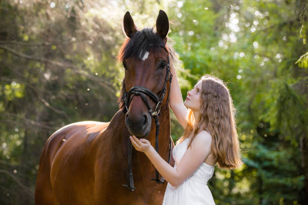 istock Beloved horse with romantic girl in forest 872761992