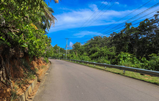 istock Seychelles islands nature. Africa 872764446