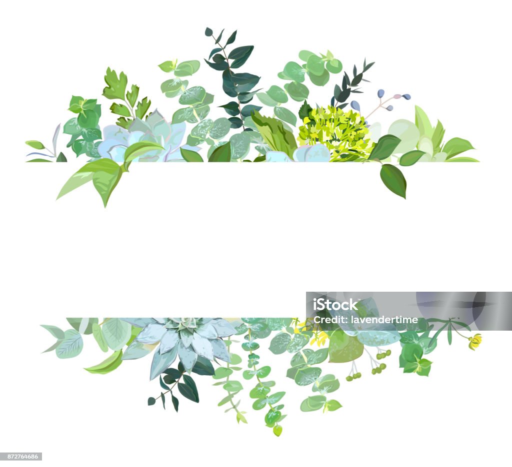 Horisontal botanical vector design banner Horisontal botanical vector design banner. Baby blue eucalyptus, succulents, green hydrangea, wilflowers, various plants, leaves and herbs.Natural card or frame. All elements are isolated and editable Illustration stock vector