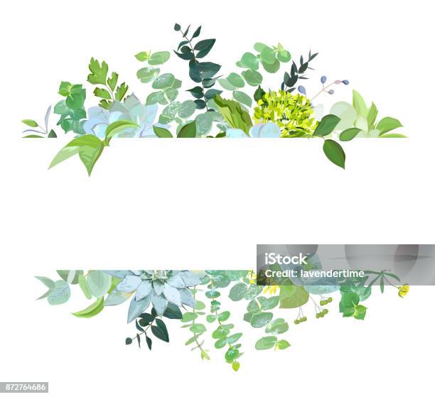Horisontal Botanical Vector Design Banner Stock Illustration - Download Image Now - Illustration, Border - Frame, Lush Foliage