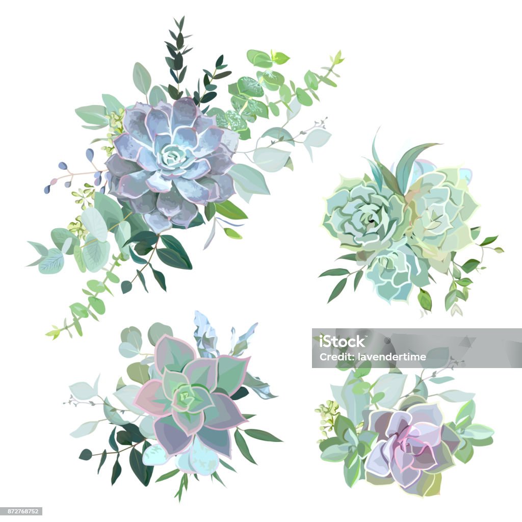 Bouquets de succulentes colorés verts vector objets design - clipart vectoriel de Plante grasse libre de droits