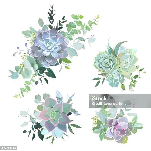 Bouquets De Succulentes Colorés Verts Vector Objets Design Vecteurs libres de droits et plus d'images vectorielles de Plante grasse