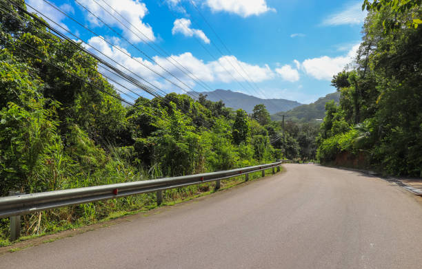 istock Seychelles islands nature. Africa 872768930