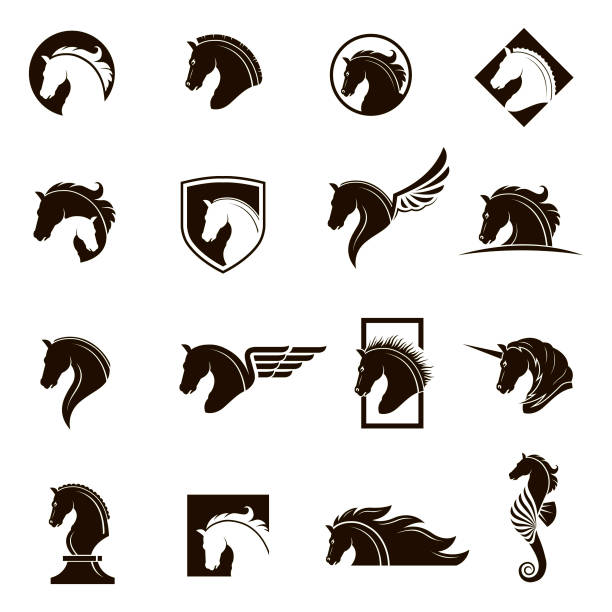 ilustraciones, imágenes clip art, dibujos animados e iconos de stock de conjunto de iconos de caballo - stallion