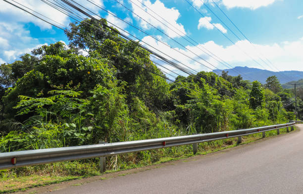 istock Seychelles islands nature. Africa 872770126