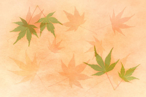 istock Japanese autumn maple leaf on traditional paper 872772392