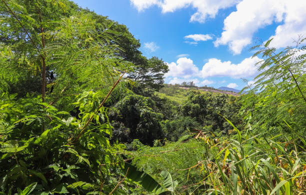 istock Seychelles islands nature. Africa 872772884