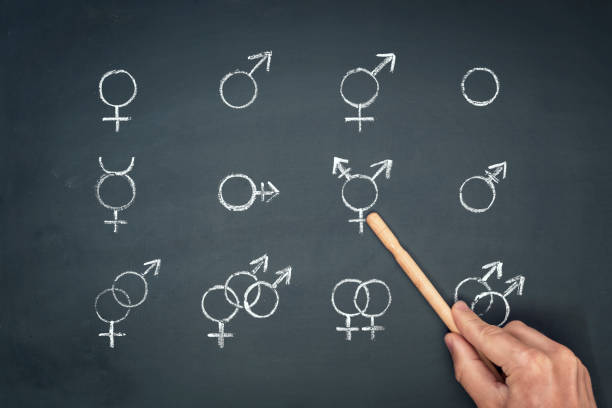 gender symbols on blackboard stock photo