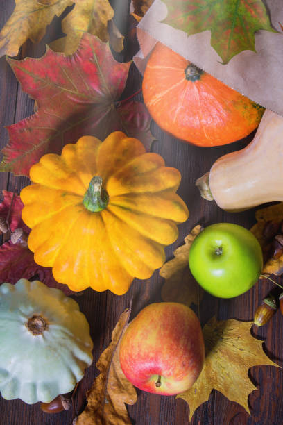 istock Autumn nature concept. Fall pumpkins and apples on wooden rustic table. Thanksgiving dinner. 872779094