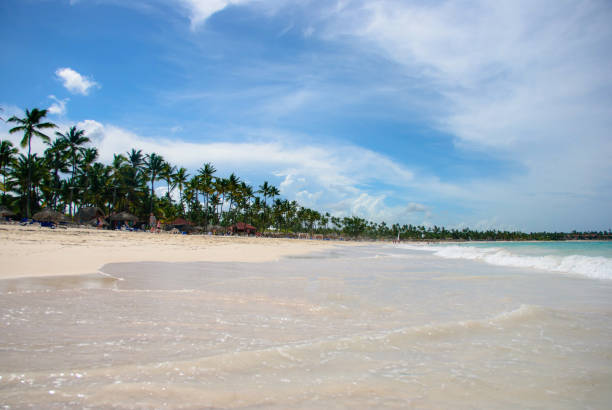 istock Sunny tropical beach with palm and perfect sky 872779528