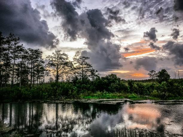 istock sunset in the swamps 872779938