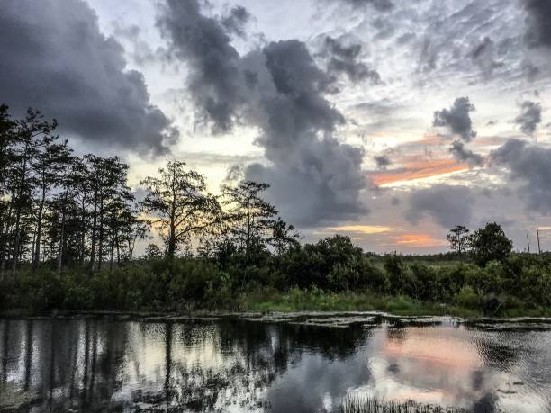 istock sunset in the swamps 872780024
