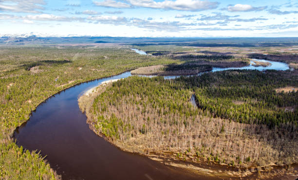 istock Northern landscape. Endless forests. Impenetrable swamps in the north 872780296