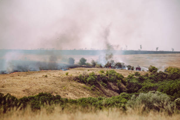 istock Natural summer fires among agricultural fields 872784040