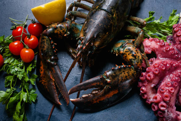 istock Lobster prepare recipe kitchen seafood concept 872784156