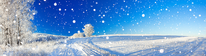 beautiful rural winter landscape a panorama with the blue sky, a field and the forest