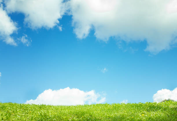istock Green grass field on small hills and blue sky with clouds 872790300