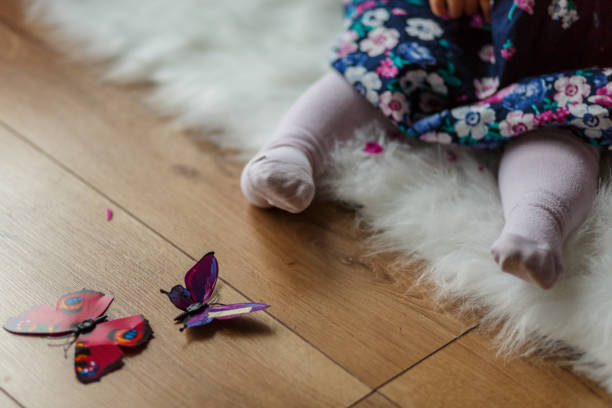 istock Flowers and butterflies 872791130