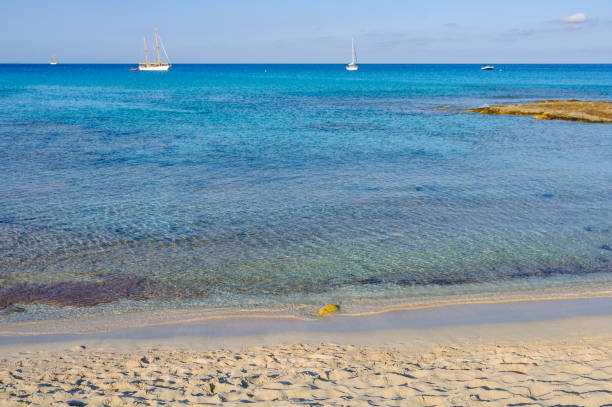 istock The white sand Ses Platgetes Beach in Formentera, Spain 872794556