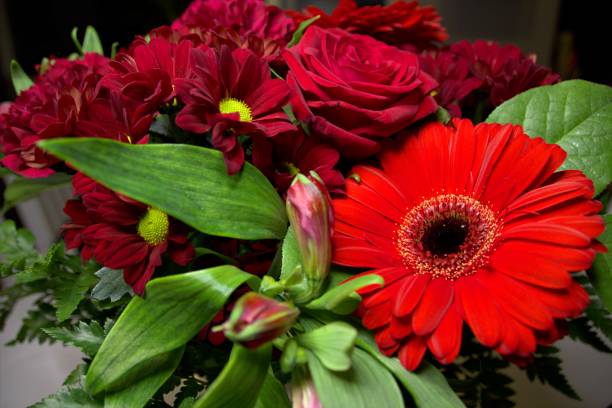 istock Macro picture of a red flower 872794976