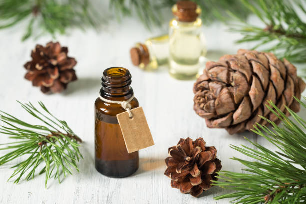 istock Essential oil of pine and spruce 872798520
