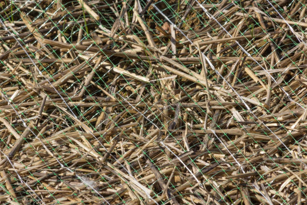 Green plastic erosion netting with straw underneath texture background, horizontal aspect