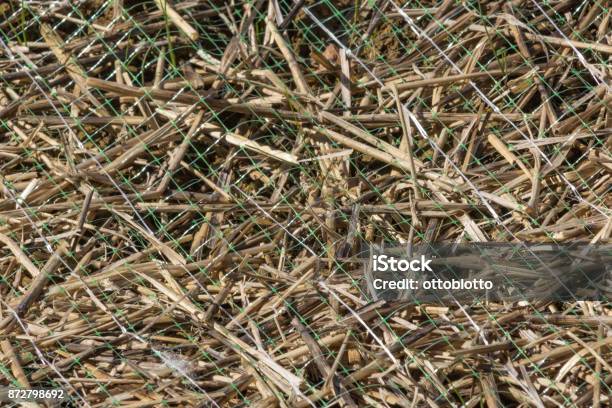 Green Plastic Erosion Netting With Straw Underneath Texture Background Stock Photo - Download Image Now