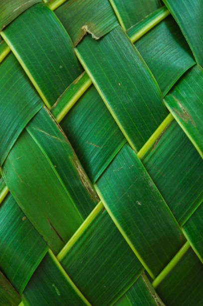 istock Pattern of coconut leaves weave 872799104