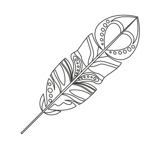 Vector illustration of Isolated feather plume design