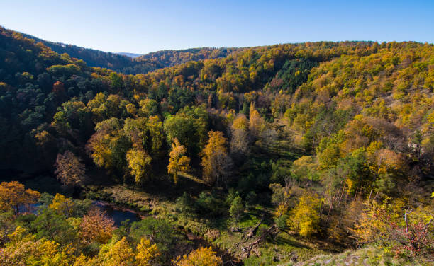 istock Warm autumn light over Kamp Valley in Austria 872802876