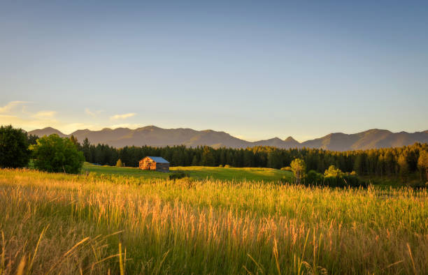 Summer sunset with an old barn in rural Montana stock photo