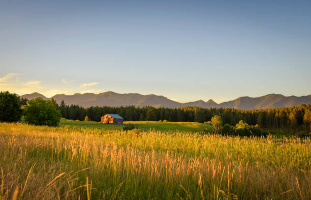 summer sunset with an old barn in rural montana - dusk blue montana landscape imagens e fotografias de stock