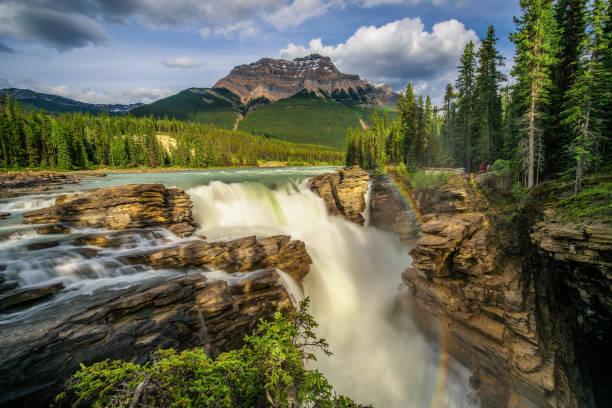 istock Sunwapta Falls in Jasper National Park, Canada 872807496