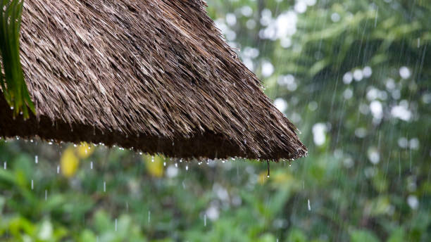 istock Tropical summer rain falling big rain drops falling down on straw roof in garden. Island Bali, Ubud, Indonesia 872810764