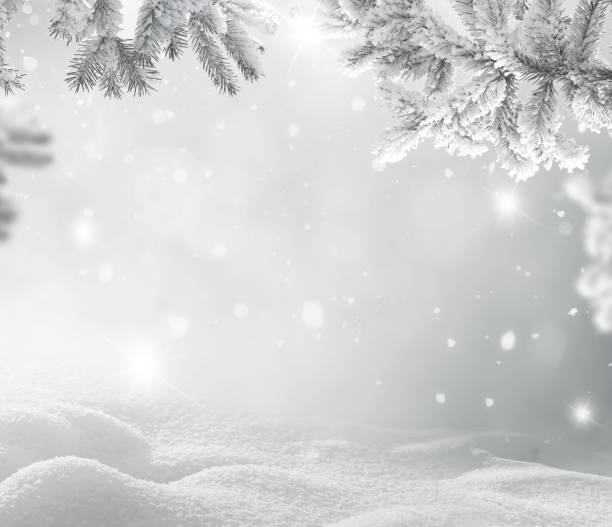 istock Winter Christmas background with fir tree branch 872817792