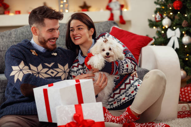 istock Cute puppy Meltzer as gift for Christmas 872822392