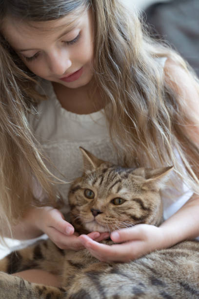 istock Little girl with cat 872825976