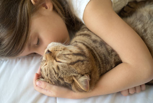 istock Little girl with cat 872828444