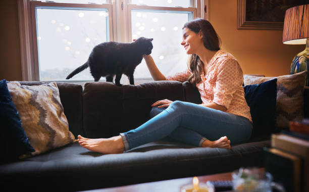istock The purrrfect day at home 872828578