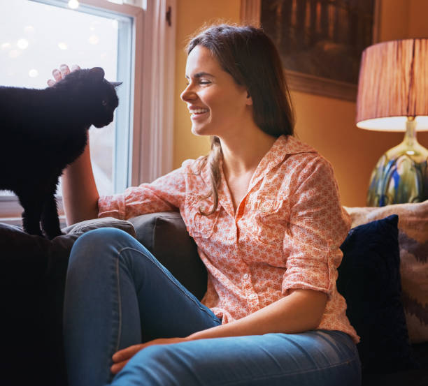 istock Where there’s a cat, there’s love 872828586