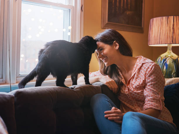 istock Mommy’s furry little munchkin 872828616