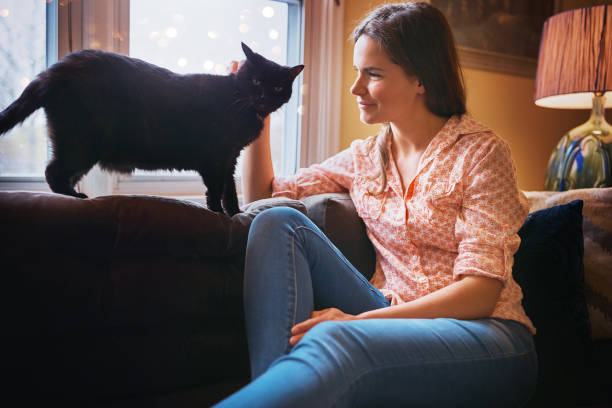 istock Sometimes love comes in small furry packages 872828626